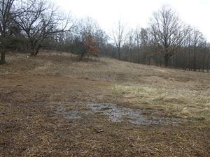 	pohľad na TML_MacuNaus_007 čistenie marec 2025