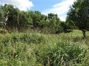 	pohľad na TML_MacuNaus_007