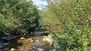 Pohľad na TML - južná časť