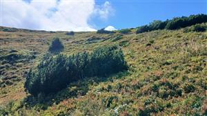 Pohľad na TML zo žľabu