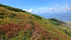 Pohľad na TML západne