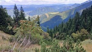 Pohľad na TML smerom dole svahom