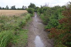Pohľad na časť TML Zemné, Palárikovský potok na rozhraní k.ú. Zemné a Palárikovo. Foto: 1.8.2025, J.Lengyel.