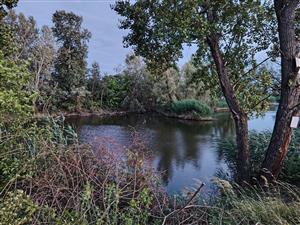 TML Révajovská pustatina (Hurbanovo)