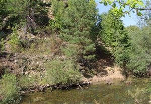 pohľad na lokalitu - Ficberg, foto:28.8.2025, D.Vazanová