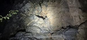 Inštalovaná sieť na odchyt