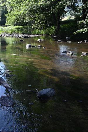 Celkový pohľad na časť TML s výskytom cieľového biotopu