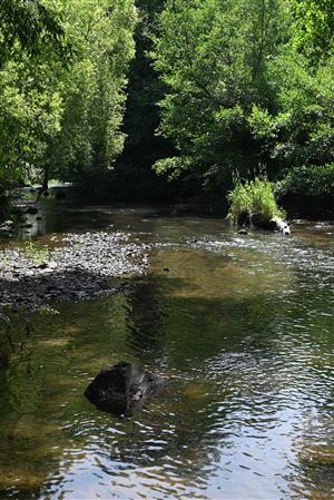 Celkový pohľad na TML s výskytom cieoľvého biotopu