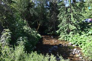 Pohľad na TML s pomiestnym výskytom cieľového biotopu
