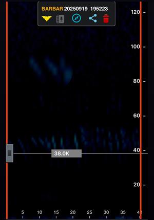 spektrogram záznamu druhu Barbastella barbastellus