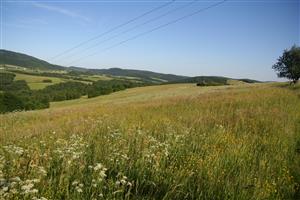záber na biotop na hrebeni, smer JV