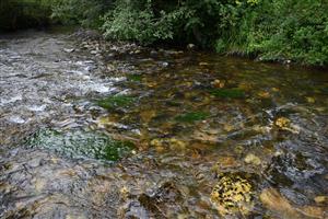 Celkový pohľad na TMP