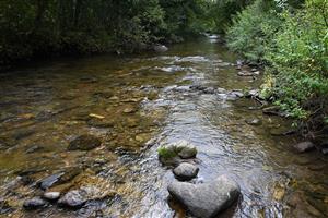 Celkový pohľad na časť TML