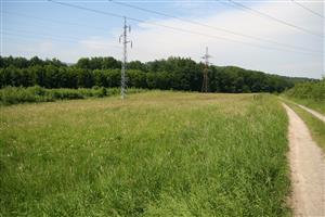 záber na časť biotopu, smer SV