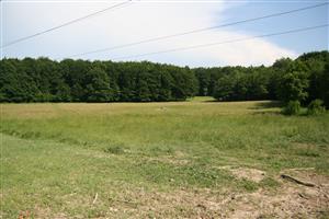 záber na biotop, najväčšia lúka