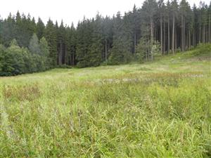 Pohľad na lokalitu