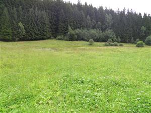 Pohľad na lokalitu