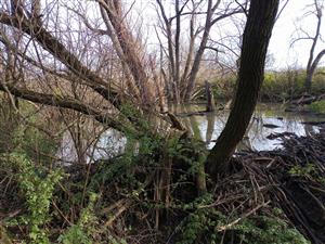 pohľad na lokalitu s haťou