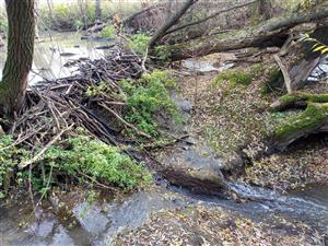 pohľad na lokalitu s haťou