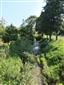 TML_Lutrlutr_017, TMP_2, 11.7.2013