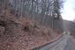 sova lesná (obyčajná) (13.4.2025)