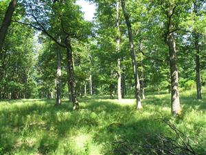 TML Hodrušská hornatina_TMP2