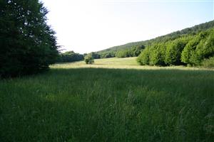 záber na biotop, smer J-S