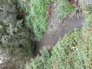 pohľad na TML - potok  Tisovník, 16.7.2025, foto: D. Vazanová