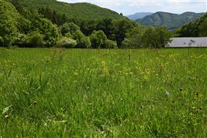 Pohľad na TML a zároveň TMP