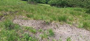 pohľad na pramenisko