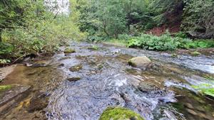 pohľad na biotop a značkovacie miesto vydry riečnej