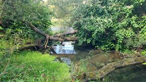 biotop vydry riečnej