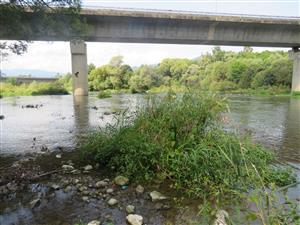 biotop vydry riečnej