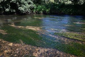 Pohľad na časť TML