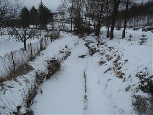 TML_Lutrlutr_017, TMP_2, 9.1.2015, Dubás