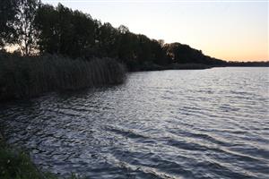 Pohľad na južný Číčovský rybník, TML, foto: 2.10.2025, J.Lengyel.