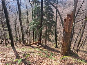 Fotografia zachytáva biotopy v TML.