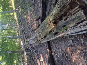 Fotografia zachytáva TMP.