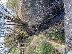 koniec TMP CobiTaen003