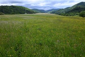 Pohľad na časť TML