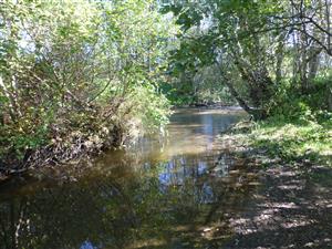 začiatok proti prúdu