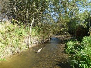 koniec TMP proti prudu