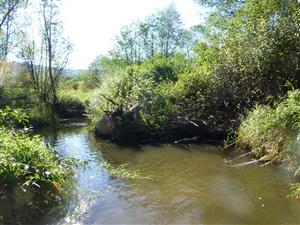 koniec TMP po prúde