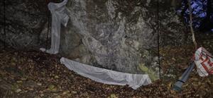 Inštalovaná sieť na odchyt