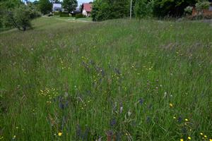 Pohľad na dolnú časť TML