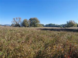 pohľad na TML - Ipeľské hony, foto: 3.10.2025, D.Vazanová