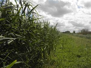 Biotop vzorkovacej línie