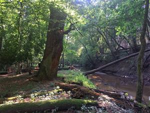 Fotografia zachytáva biotopy v TML.