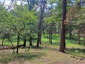 Fotografia zachytáva biotopy v TML.