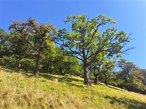 Fotografia zachytáva TMP.